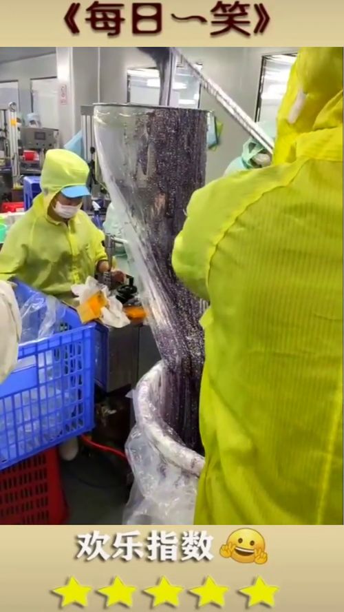 化妝品的制作工廠揭秘 面膜裝袋的奇妙過程